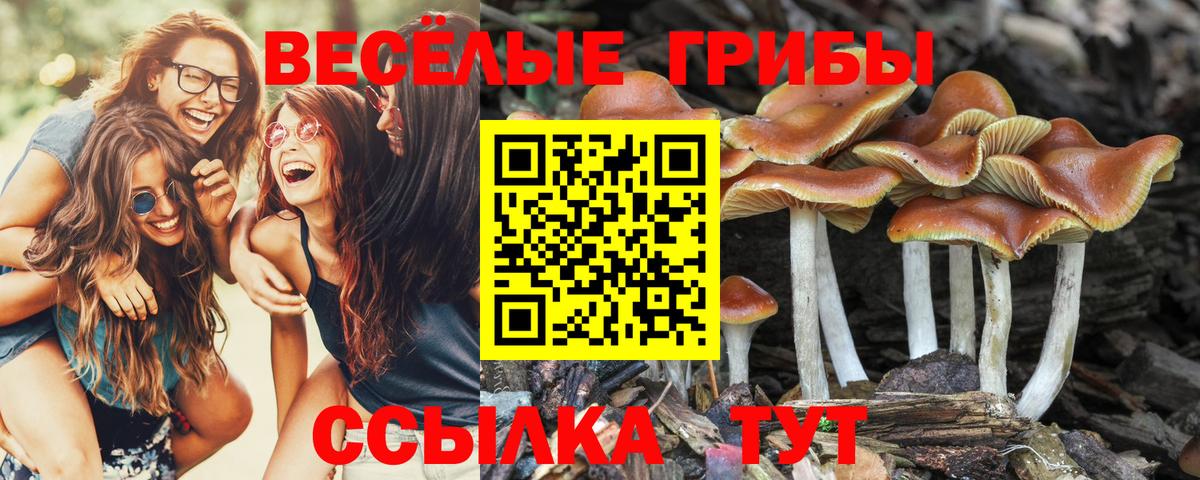 Галлюциногенные грибы мицелий  купить   Магнитогорск  Вход с VPN 