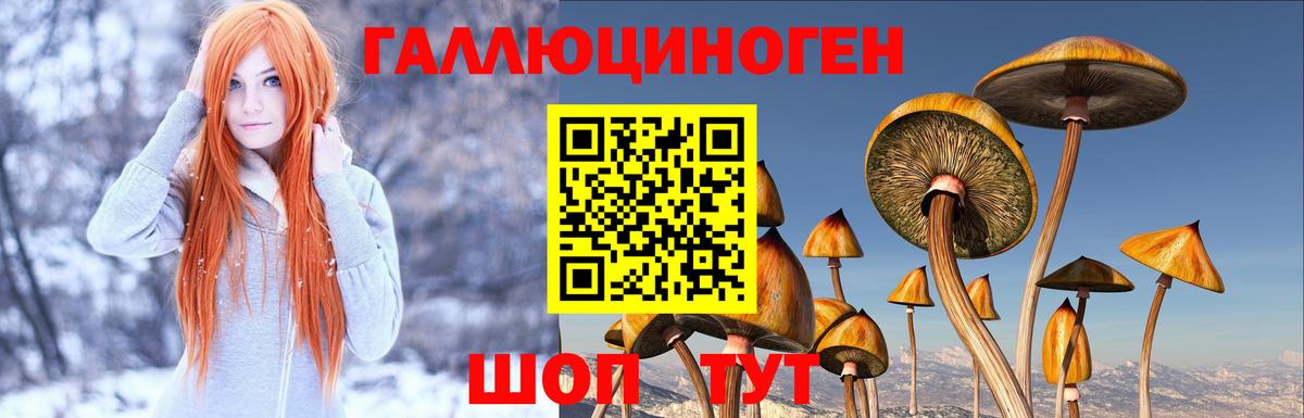Псилоцибиновые грибы MAGIC MUSHROOMS Магнитогорск